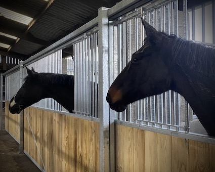 Boxes - écurie de propriétaire, pension chevaux à TESSY-BOCAGE, entre SAINT-LÔ et VILLEDIEU-LES-POÊLES